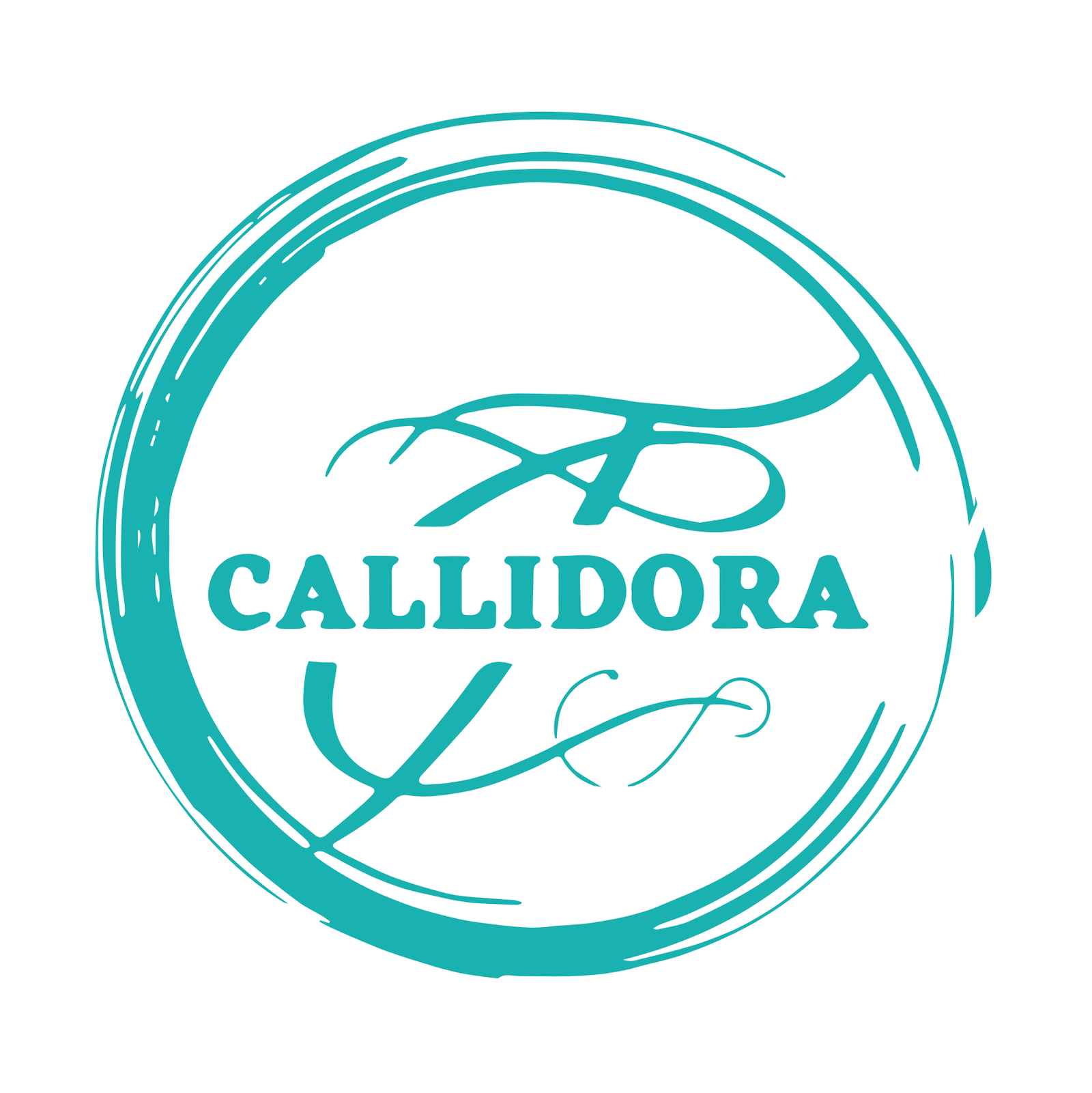 Callidora